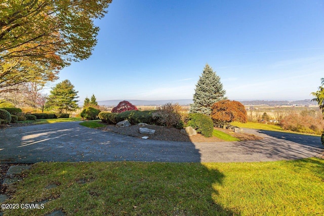 view of yard with driveway