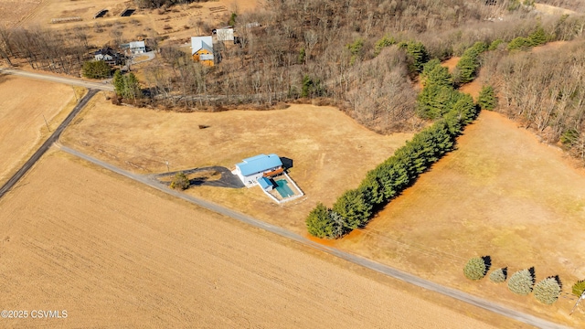 bird's eye view