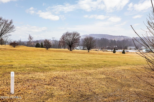 view of yard featuring a mountain view and a rural view