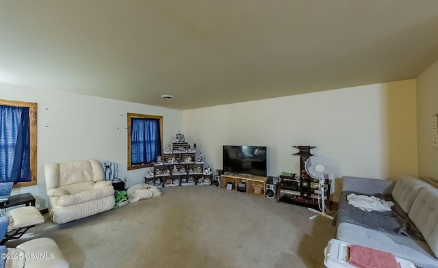 living area with carpet flooring