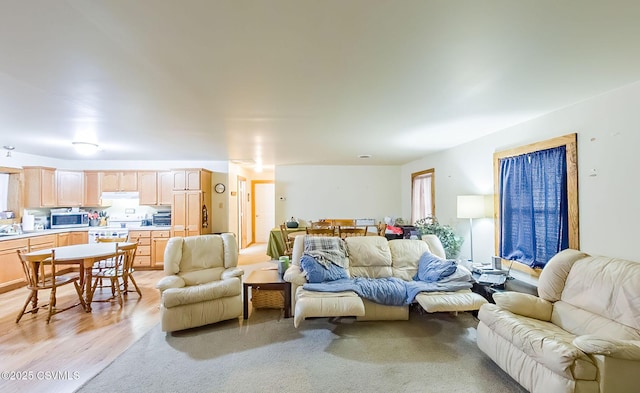 living area with light wood-type flooring