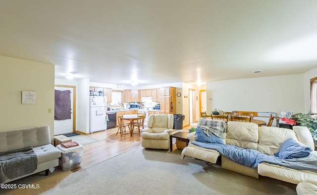 living room with light wood-style floors