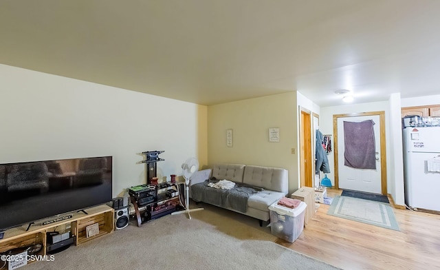 living room featuring light wood finished floors