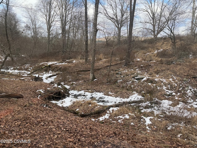 view of snow covered land