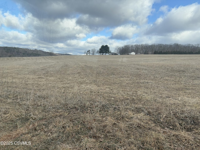 view of local wilderness featuring a rural view