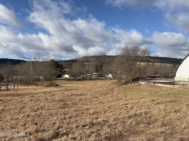 view of yard with a rural view