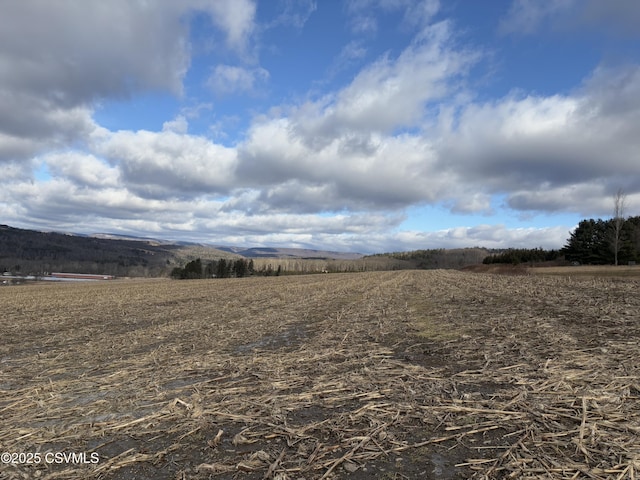 view of yard featuring a rural view