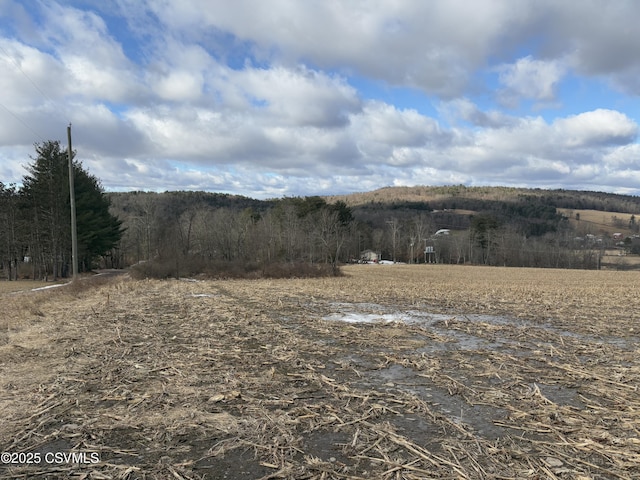 property view of mountains with a view of trees