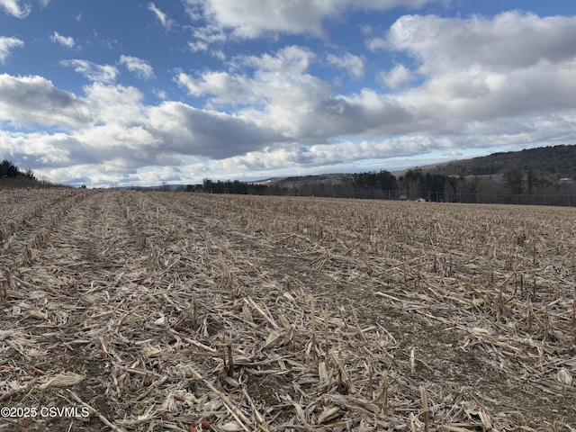 view of local wilderness featuring a rural view