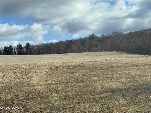 view of nature featuring a rural view and a wooded view