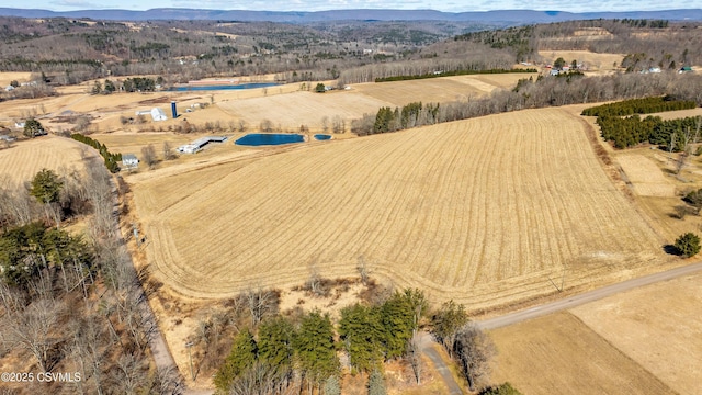 drone / aerial view featuring a mountain view and a rural view