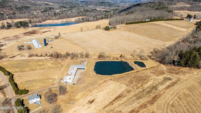 129 Cemetery Hill Rd, Shickshinny, PA 18655 - drone / aerial view with a water view and a rural view