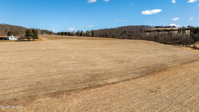 view of yard featuring a rural view