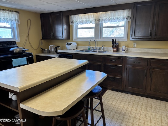 kitchen with a wealth of natural light, a kitchen breakfast bar, light countertops, and a sink