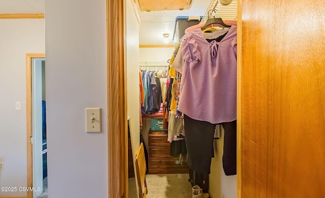 spacious closet featuring carpet flooring