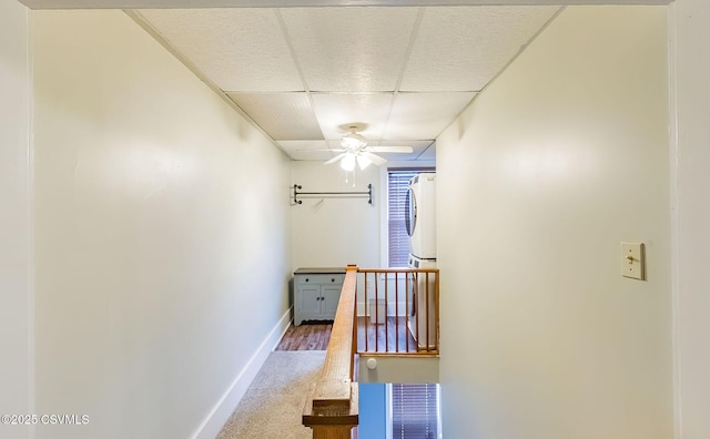 hall with carpet, a paneled ceiling, and baseboards