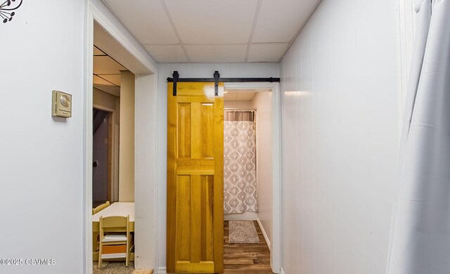 hallway with a barn door, a paneled ceiling, and wood finished floors