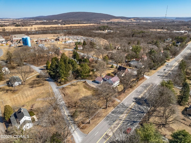 bird's eye view featuring a mountain view