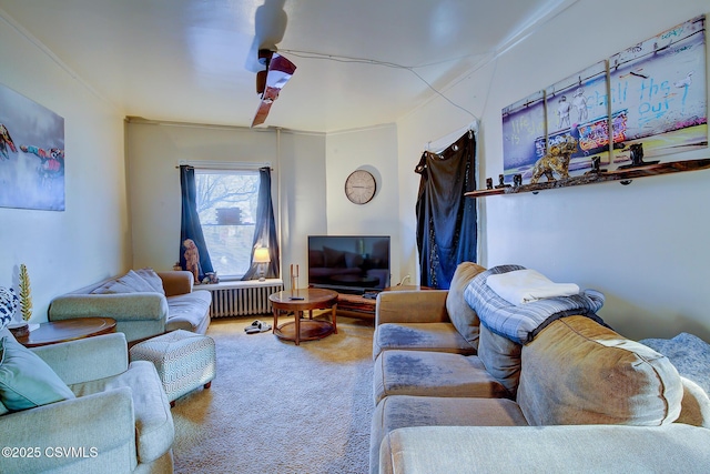 living area with radiator heating unit and carpet floors