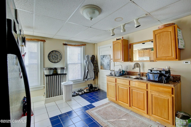 kitchen with a wealth of natural light, a drop ceiling, tile patterned flooring, and a sink