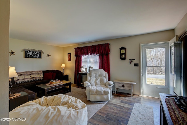 living area with wood finished floors