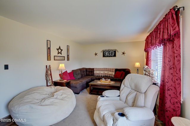 living area with carpet