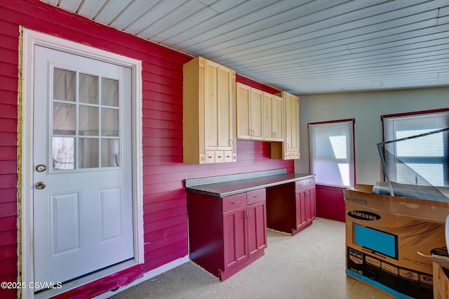 kitchen with wooden walls