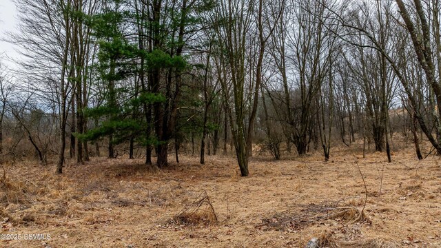 29 3 Springs Rd, Stillwater, PA 17878
