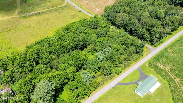 29 3 Springs Rd, Stillwater, PA 17878 - photo 2