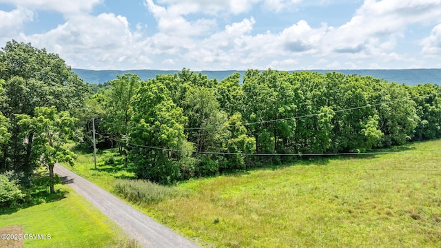 29 3 Springs Rd, Stillwater, PA 17878 - photo 12