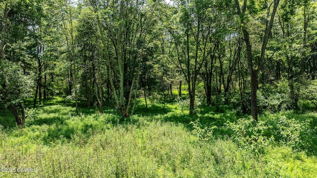29 3 Springs Rd, Stillwater, PA 17878 - photo 15