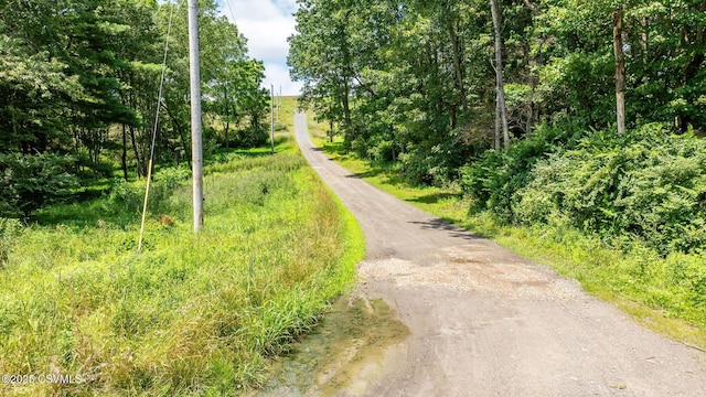 29 3 Springs Rd, Stillwater, PA 17878 - photo 7