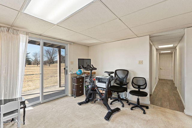 home office with carpet, a paneled ceiling, and baseboards