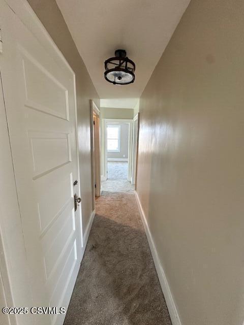 hall featuring baseboards and carpet flooring