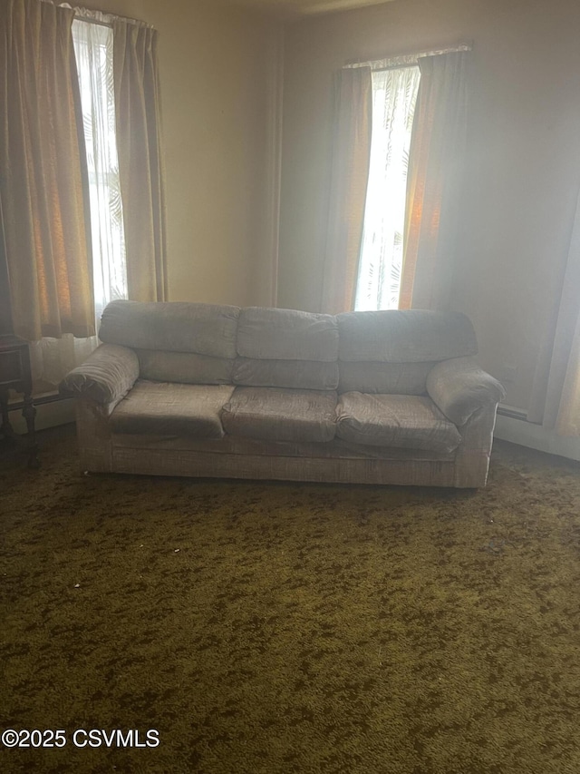 1035 W Walnut St, Coal Township, PA 17866 - view of carpeted living room