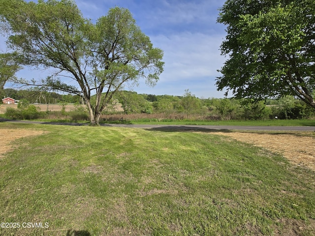 36 Starner Rd, Danville, PA 17821 - view of green lawn