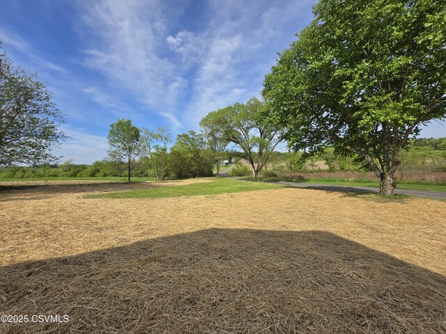 36 Starner Rd, Danville, PA 17821 - view of yard