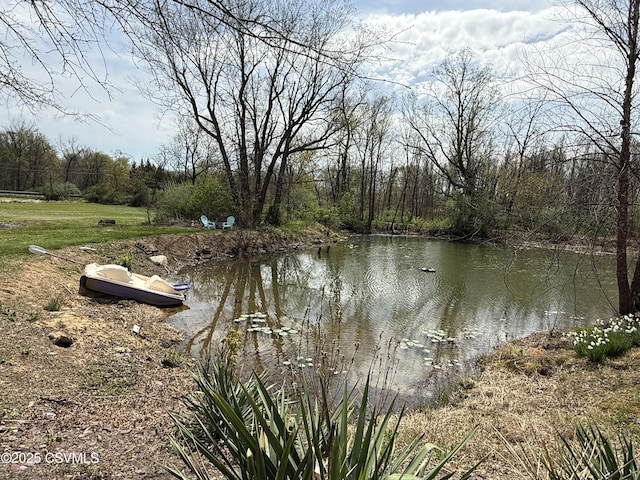 water view with a view of trees