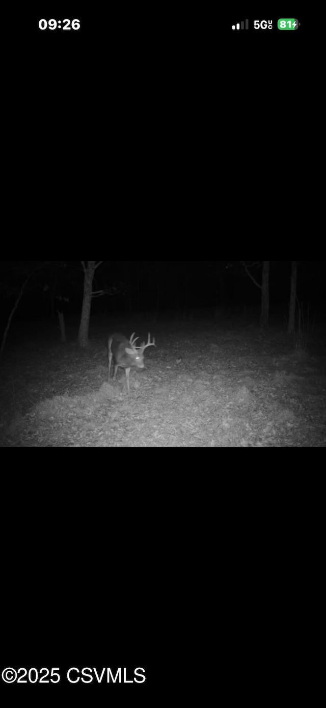 75 Starview Ln, Wapwallopen, PA 18660 - photo 72