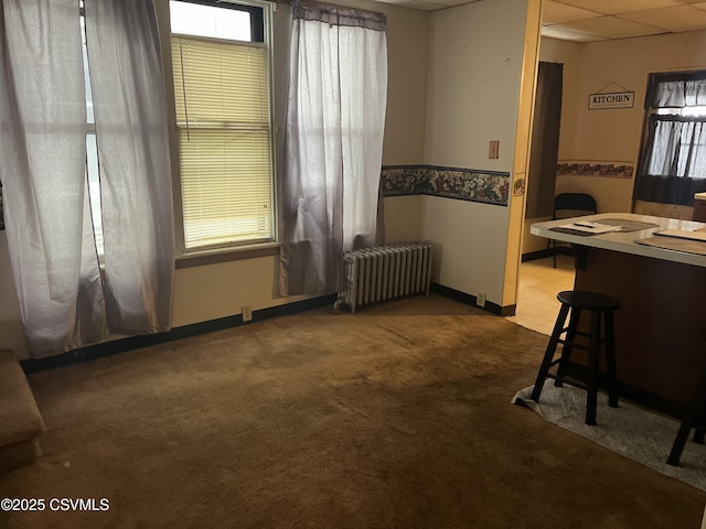 523 Race St, Sunbury, PA 17801 - dining space featuring a wainscoted wall, baseboards, carpet floors, radiator heating unit, and a drop ceiling