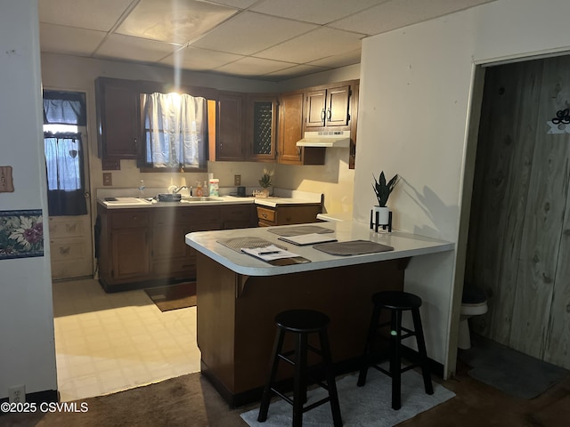 523 Race St, Sunbury, PA 17801 - kitchen with a breakfast bar, light countertops, a peninsula, and under cabinet range hood