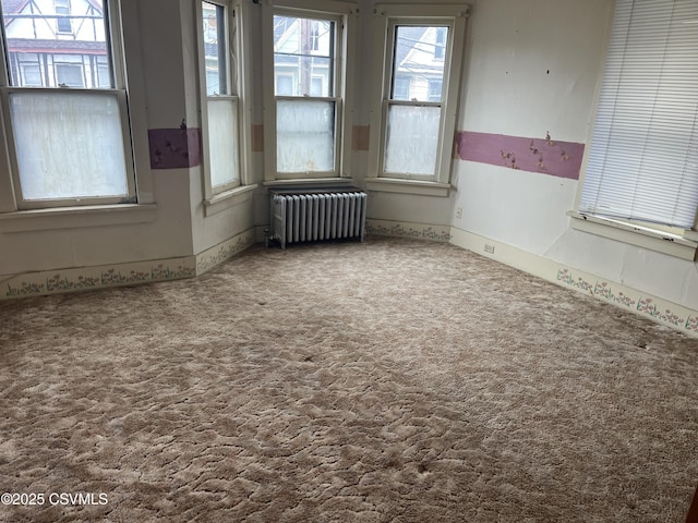 523 Race St, Sunbury, PA 17801 - unfurnished room with carpet floors and radiator