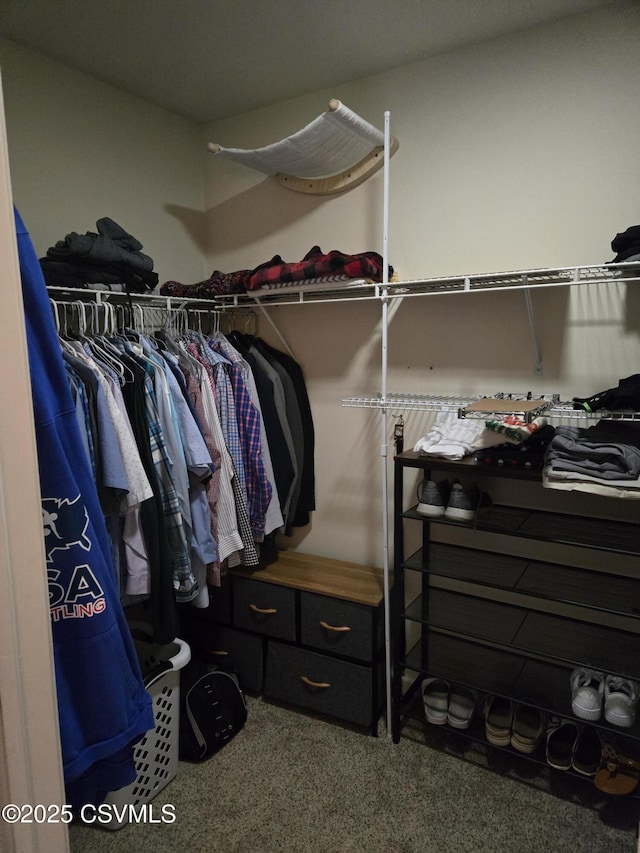 495 Meadow Ln, Danville, PA 17821 - spacious closet with carpet floors