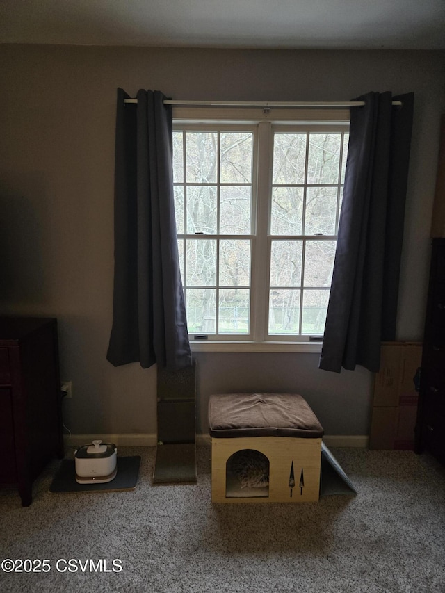 495 Meadow Ln, Danville, PA 17821 - bedroom with multiple windows, baseboards, and carpet