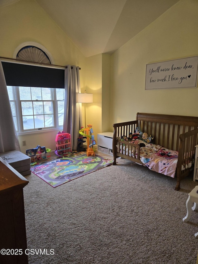 495 Meadow Ln, Danville, PA 17821 - bedroom featuring lofted ceiling and carpet