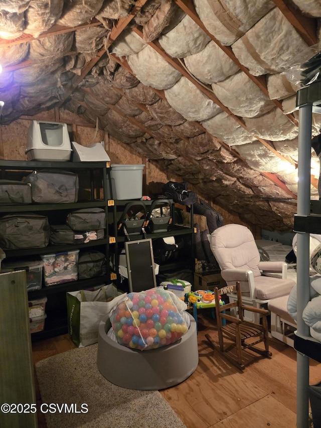 495 Meadow Ln, Danville, PA 17821 - view of unfinished attic