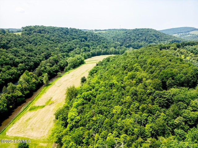 29 Robbins Rd, Bloomsburg, PA 17815 - photo 23