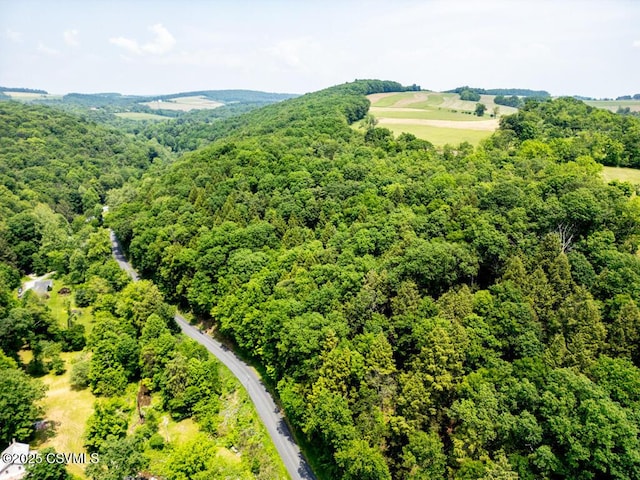 29 Robbins Rd, Bloomsburg, PA 17815 - photo 25