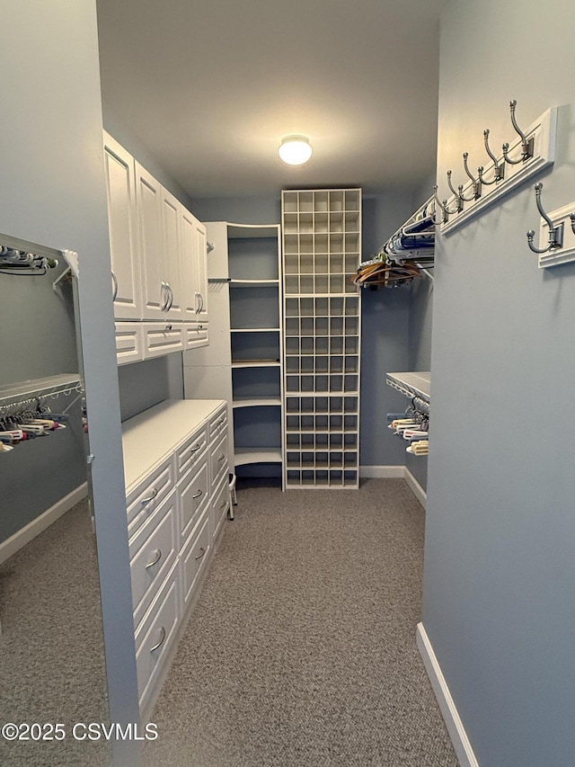 spacious closet with carpet flooring