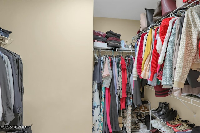 view of spacious closet
